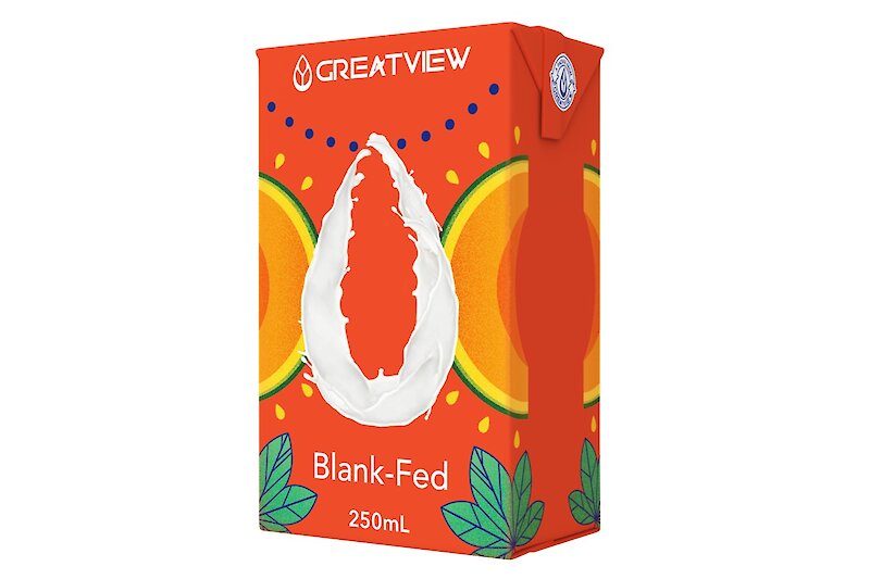 Fenmei Prefabricated Brick Bag 250mL Smart Model